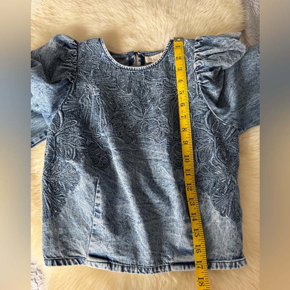 Pilcro Blue Embroidered Puff-Sleeve Denim Crop Top - Picture 13 of 16